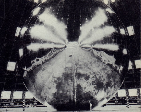 Mylar Balloon